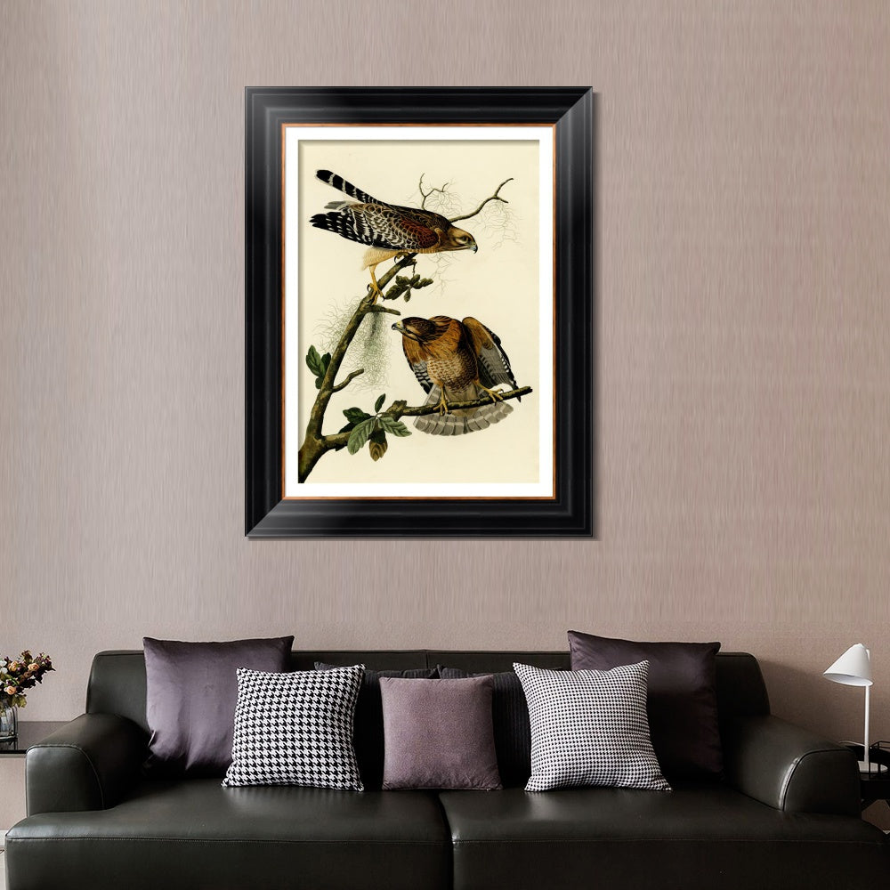 INVIN ART Framed Canvas Art Giclee Print Red Shouldered Hawk by John James Audubon  Home Office Wall Art Decorations