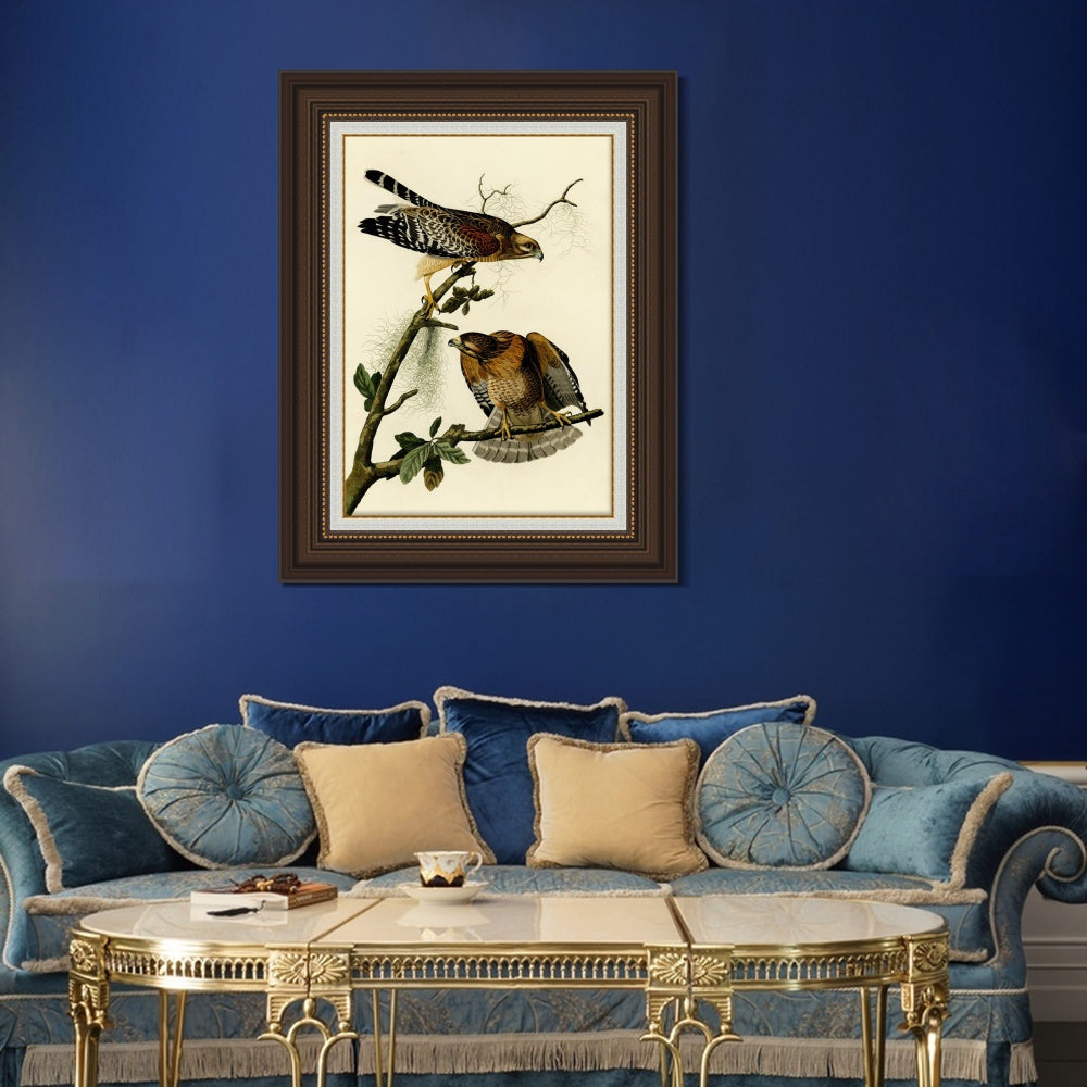 INVIN ART Framed Canvas Art Giclee Print Red Shouldered Hawk by John James Audubon  Home Office Wall Art Decorations