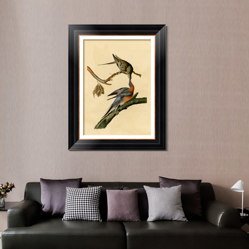 INVIN ART Framed Canvas Art Giclee Print Passenger Pigeon by John James Audubon  Home Office Wall Art Decorations
