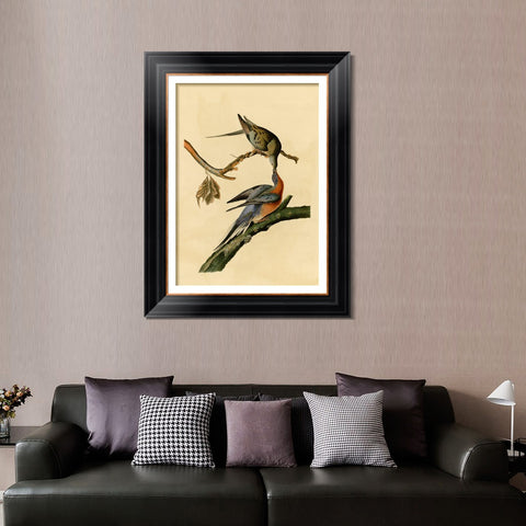 INVIN ART Framed Canvas Art Giclee Print Passenger Pigeon by John James Audubon Living Room Home Office Wall Art Decorations