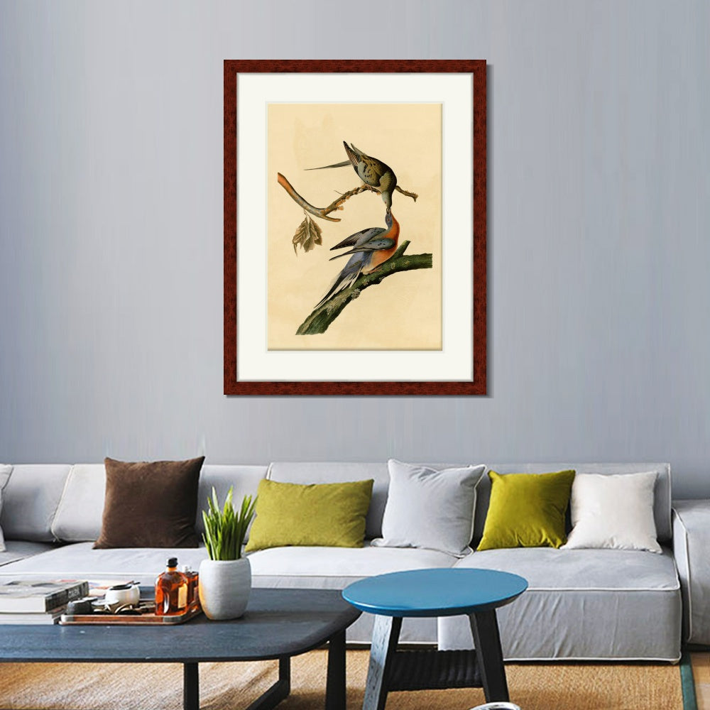 INVIN ART Framed Canvas Art Giclee Print Passenger Pigeon by John James Audubon  Home Office Wall Art Decorations