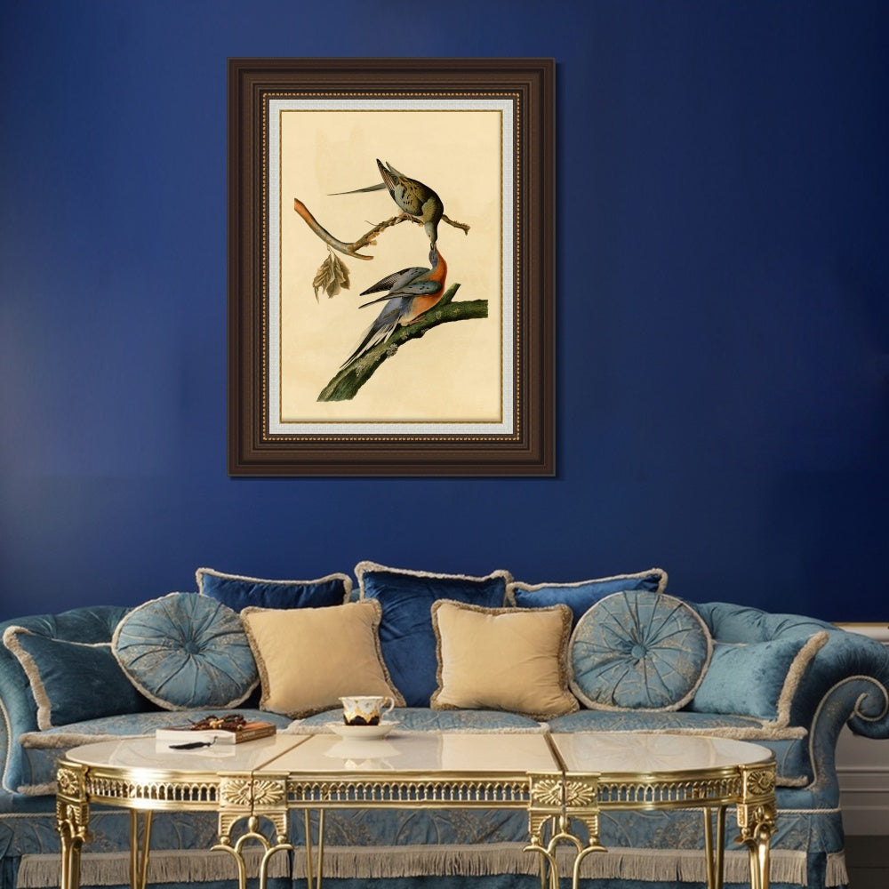 INVIN ART Framed Canvas Art Giclee Print Passenger Pigeon by John James Audubon  Home Office Wall Art Decorations