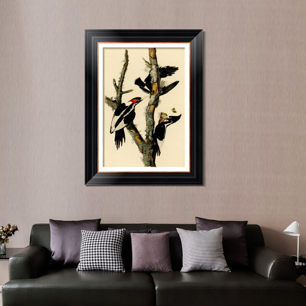 INVIN ART Framed Canvas Art Giclee Print Ivory Billed Woodpecker by John James Audubon  Home Office Wall Art Decorations