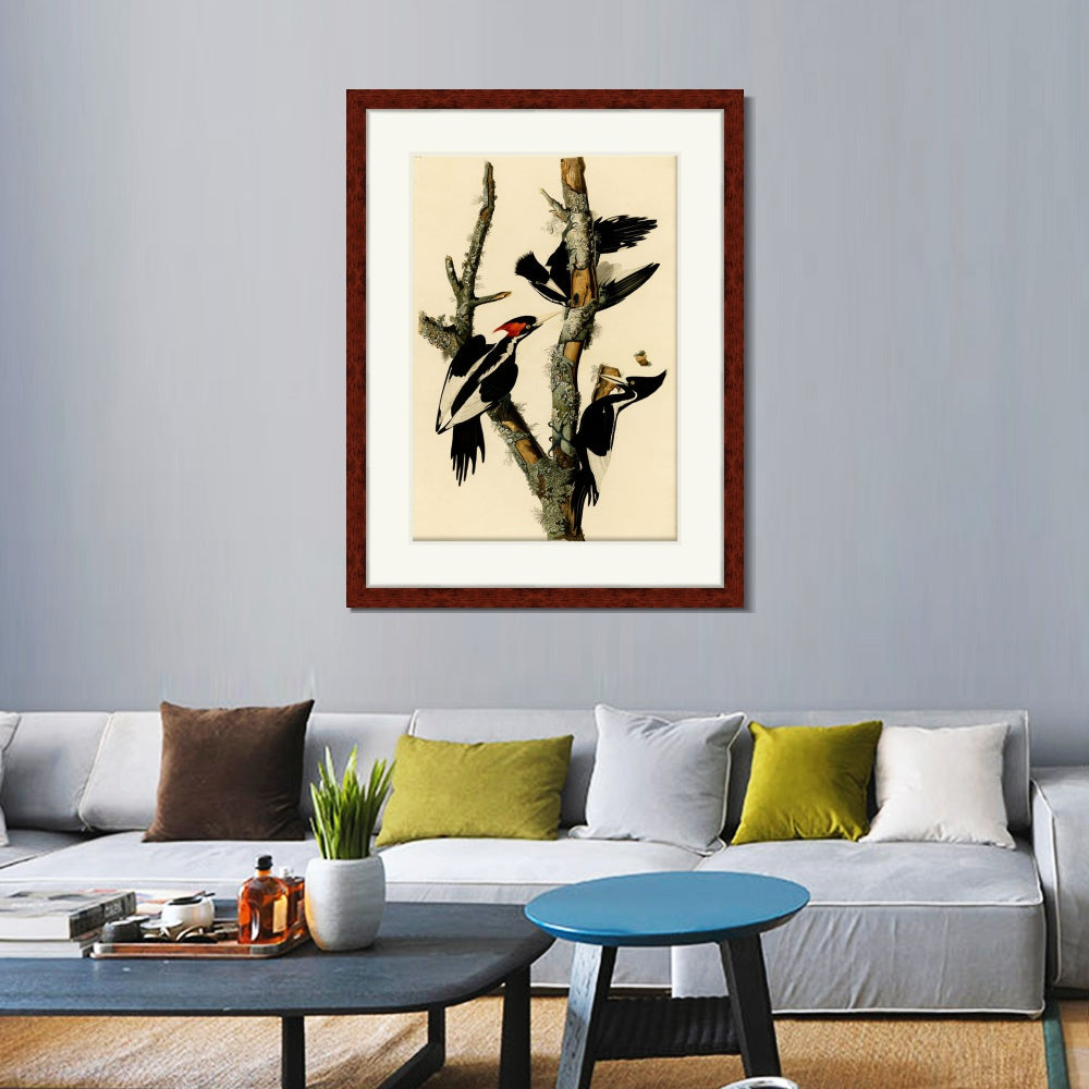INVIN ART Framed Canvas Art Giclee Print Ivory Billed Woodpecker by John James Audubon  Home Office Wall Art Decorations