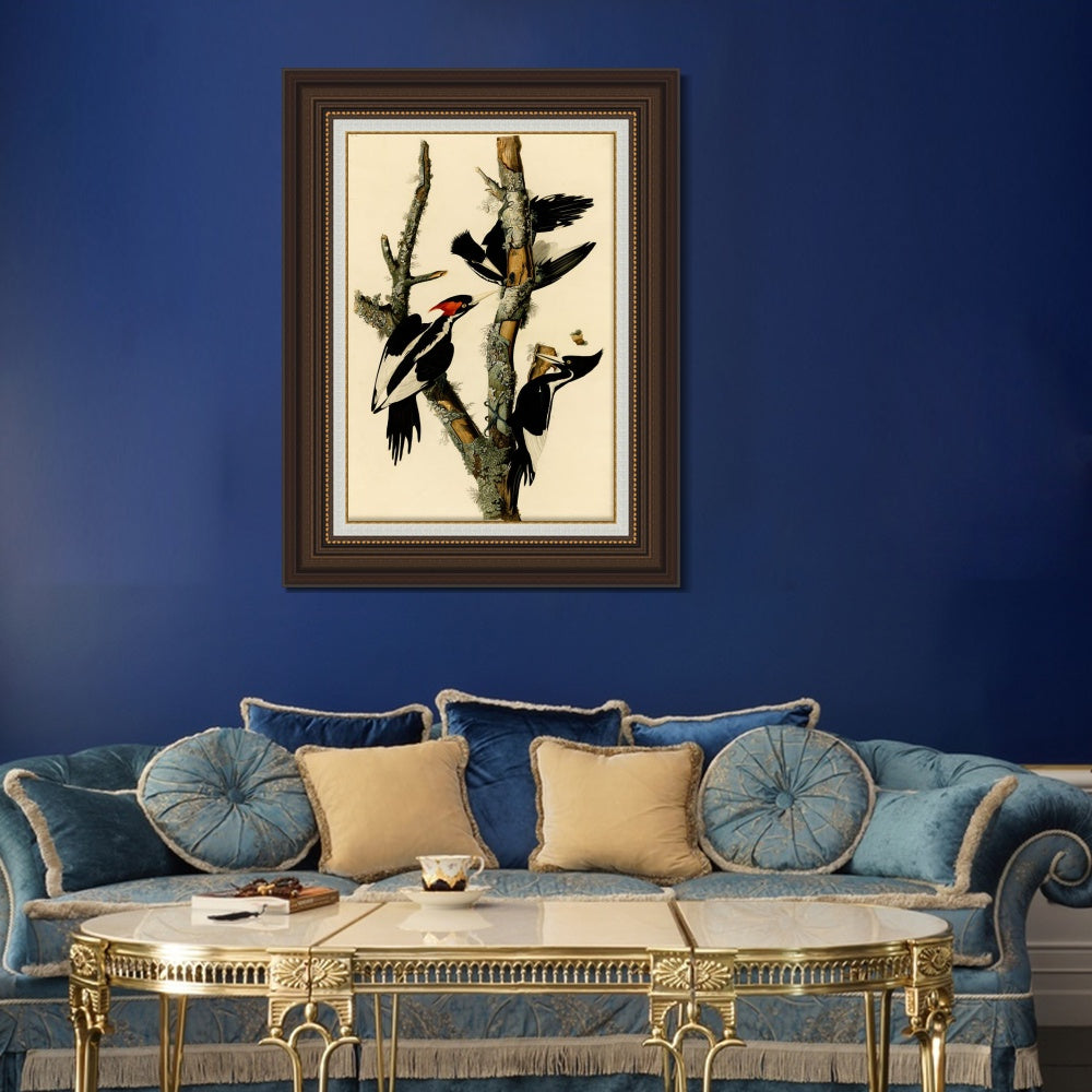 INVIN ART Framed Canvas Art Giclee Print Ivory Billed Woodpecker by John James Audubon  Home Office Wall Art Decorations