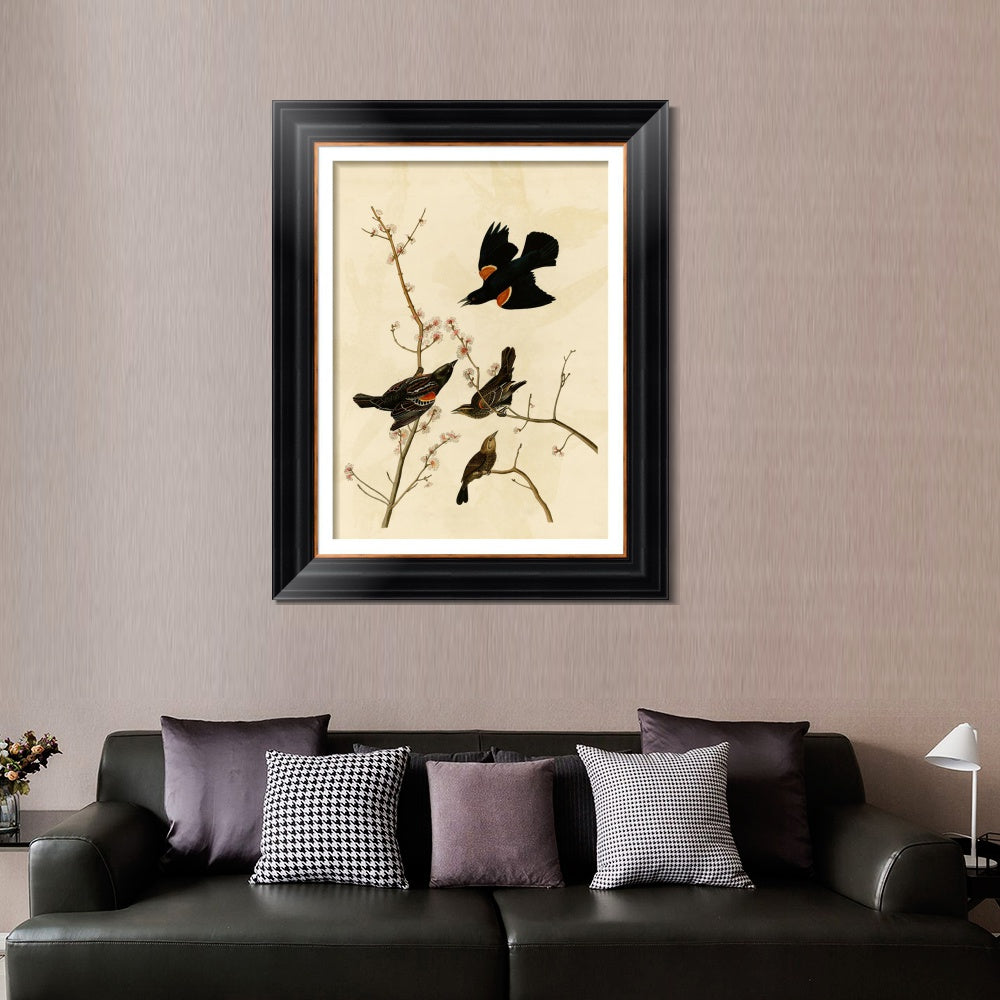 INVIN ART Framed Canvas Art Giclee Print Red Winged Starling or Marsh Blackbird by John James Audubon  Home Office Wall Art Decorations