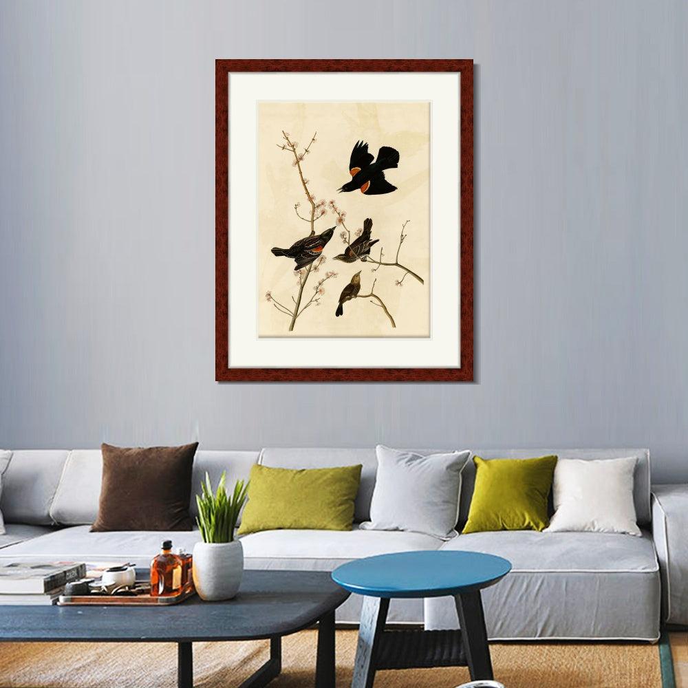 INVIN ART Framed Canvas Art Giclee Print Red Winged Starling or Marsh Blackbird by John James Audubon  Home Office Wall Art Decorations