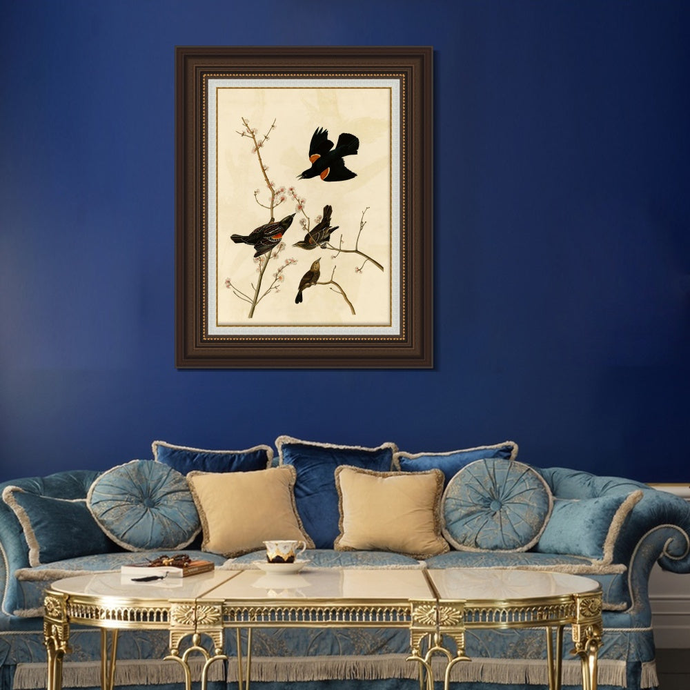 INVIN ART Framed Canvas Art Giclee Print Red Winged Starling or Marsh Blackbird by John James Audubon  Home Office Wall Art Decorations