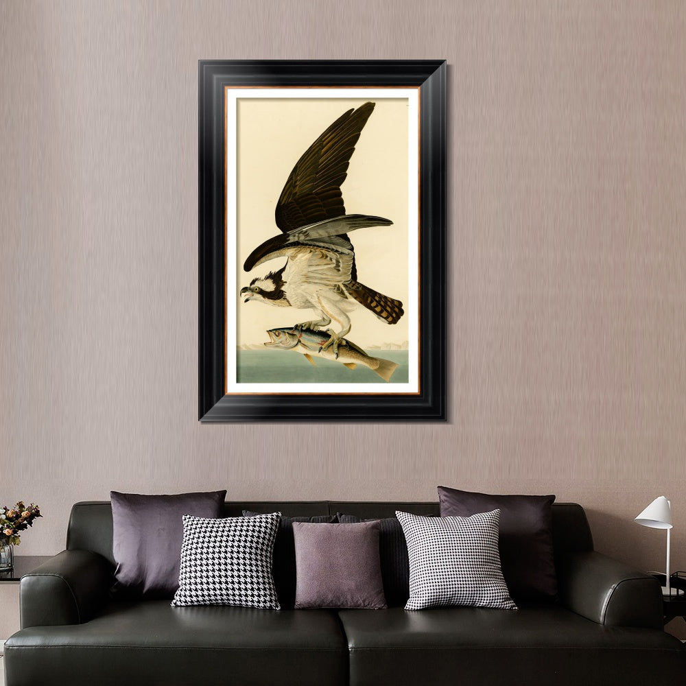 INVIN ART Framed Canvas Art Giclee Print Fish Hawk or Osprey by John James Audubon  Home Office Wall Art Decorations