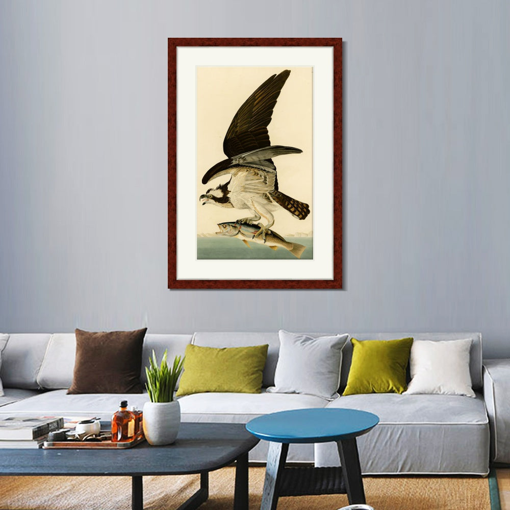 INVIN ART Framed Canvas Art Giclee Print Fish Hawk or Osprey by John James Audubon  Home Office Wall Art Decorations