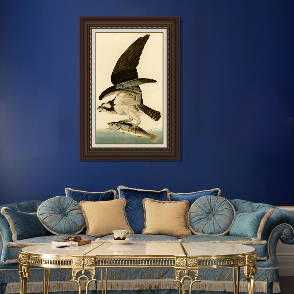 INVIN ART Framed Canvas Art Giclee Print Fish Hawk or Osprey by John James Audubon  Home Office Wall Art Decorations