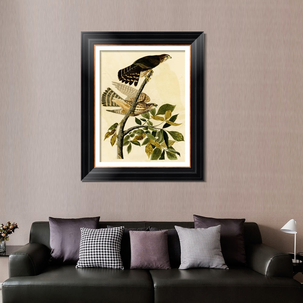 INVIN ART Framed Canvas Art Giclee Print Pigeon Hawk by John James Audubon  Home Office Wall Art Decorations