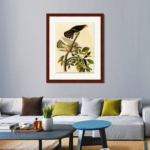 INVIN ART Framed Canvas Art Giclee Print Pigeon Hawk by John James Audubon Living Room Home Office Wall Art Decorations