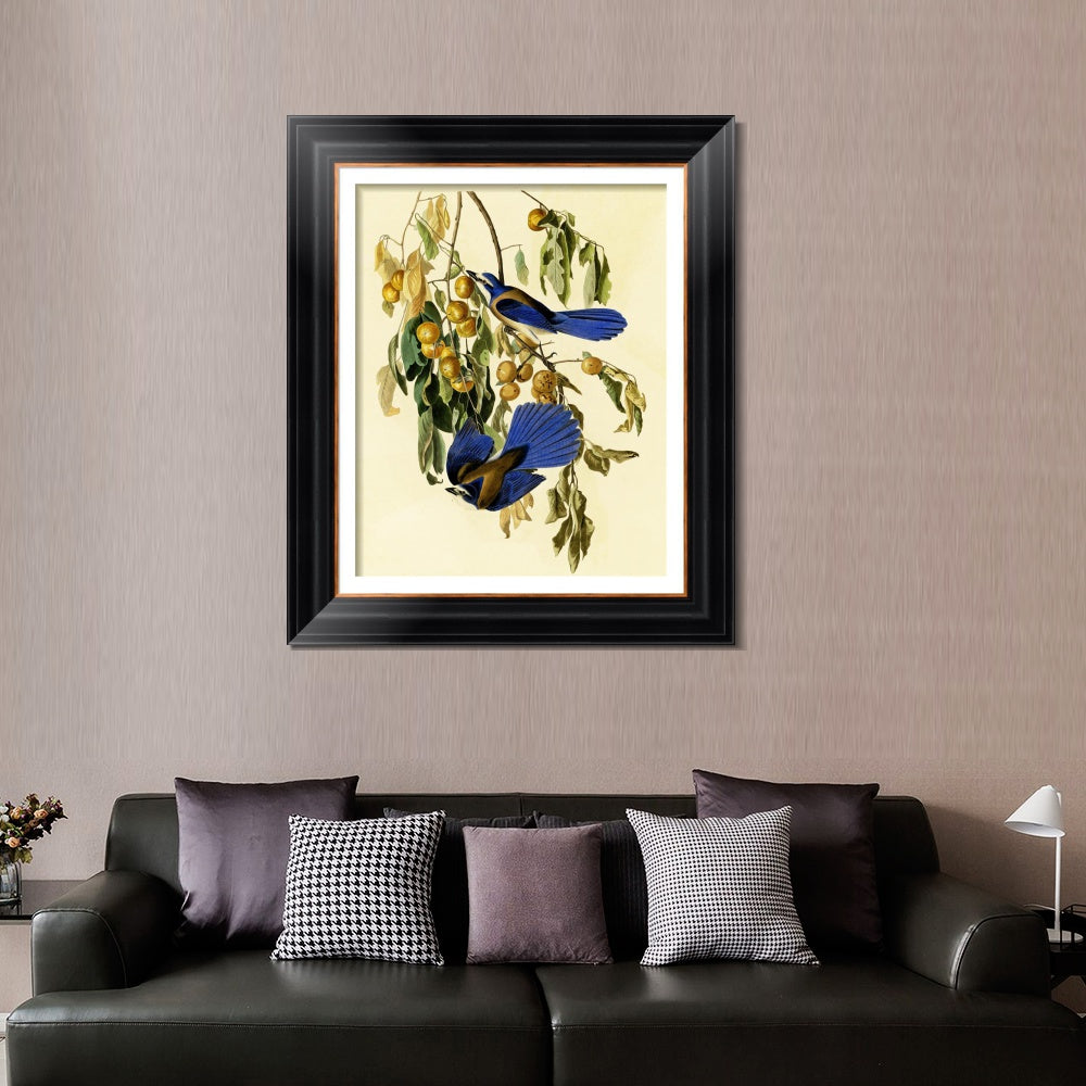 INVIN ART Framed Canvas Art Giclee Print Florida Jay by John James Audubon  Home Office Wall Art Decorations