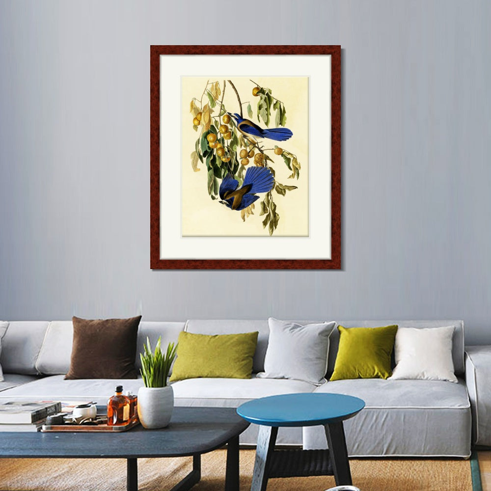 INVIN ART Framed Canvas Art Giclee Print Florida Jay by John James Audubon  Home Office Wall Art Decorations