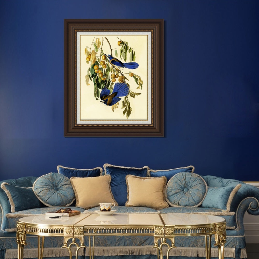 INVIN ART Framed Canvas Art Giclee Print Florida Jay by John James Audubon  Home Office Wall Art Decorations