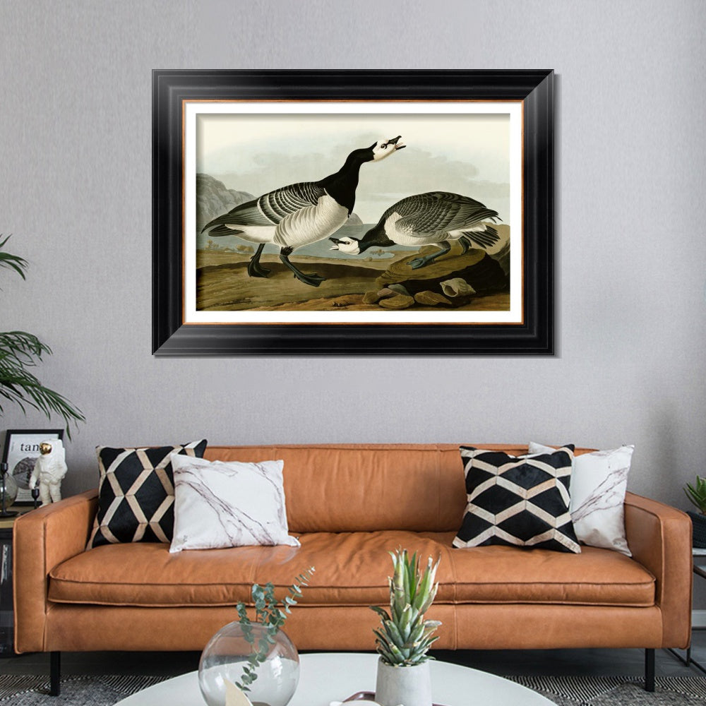 INVIN ART Framed Canvas Art Giclee Print Barnacle Goose by John James Audubon Living Room Home Office Wall Art Decorations