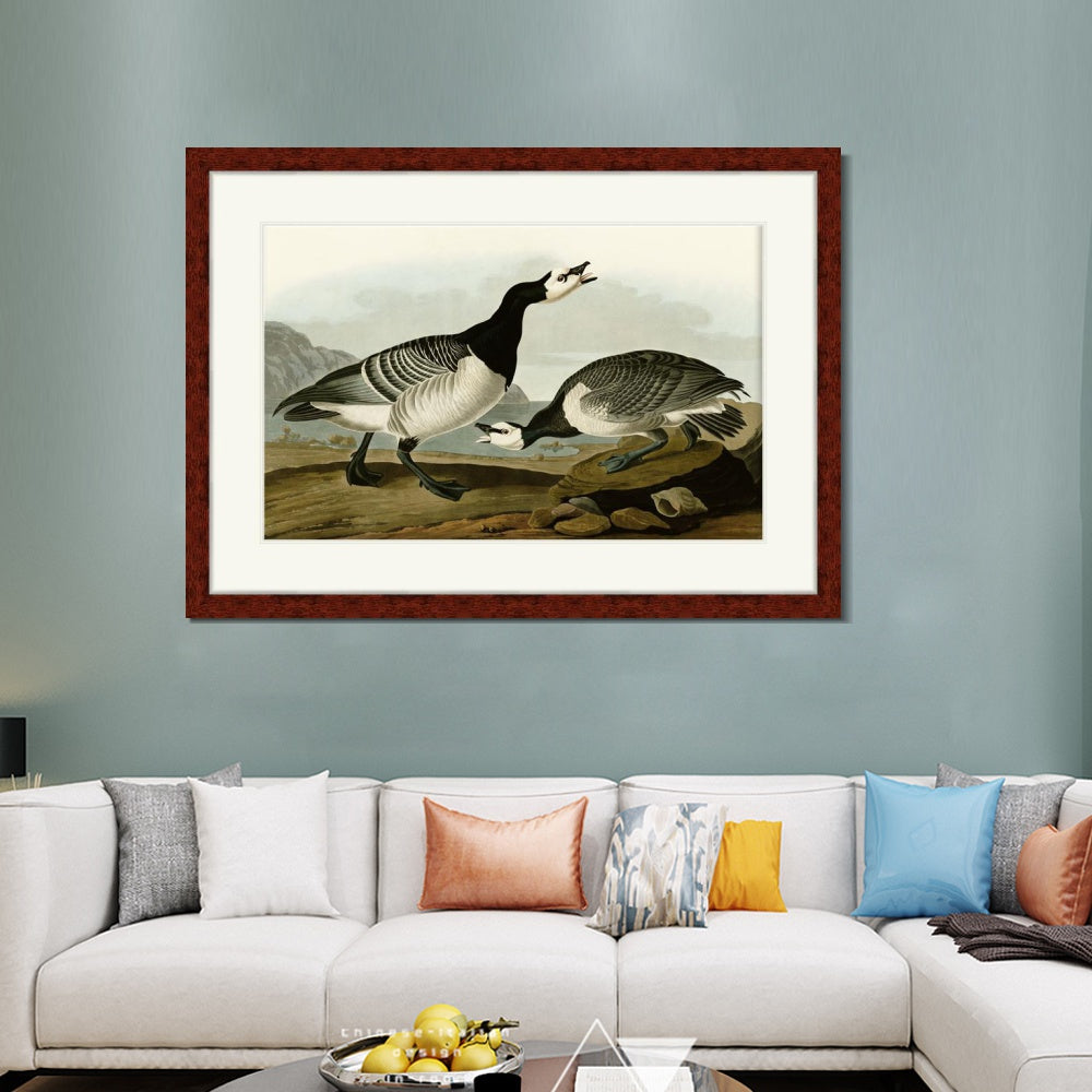INVIN ART Framed Canvas Art Giclee Print Barnacle Goose by John James Audubon Living Room Home Office Wall Art Decorations