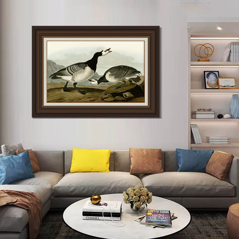 INVIN ART Framed Canvas Art Giclee Print Barnacle Goose by John James Audubon Living Room Home Office Wall Art Decorations