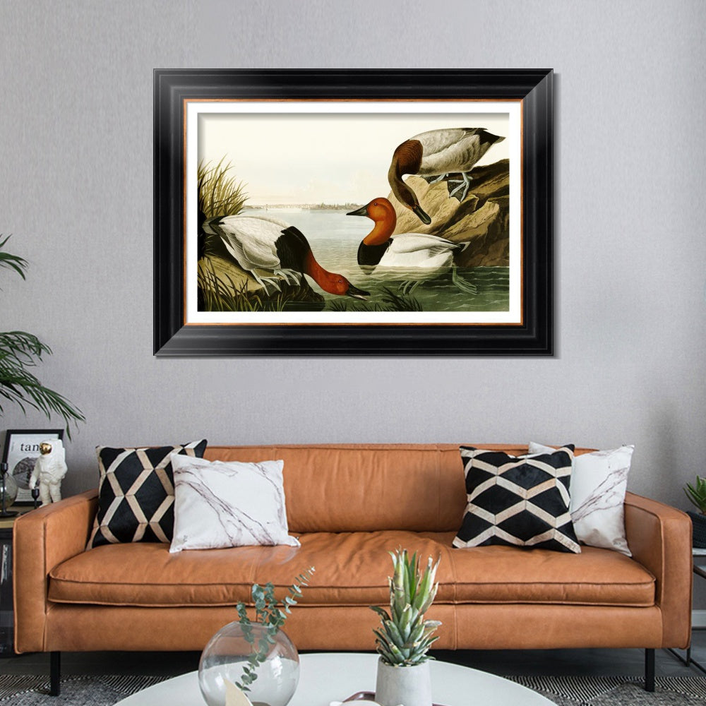 INVIN ART Framed Canvas Art Giclee Print Backed Duck by John James Audubon  Home Office Wall Art Decorations