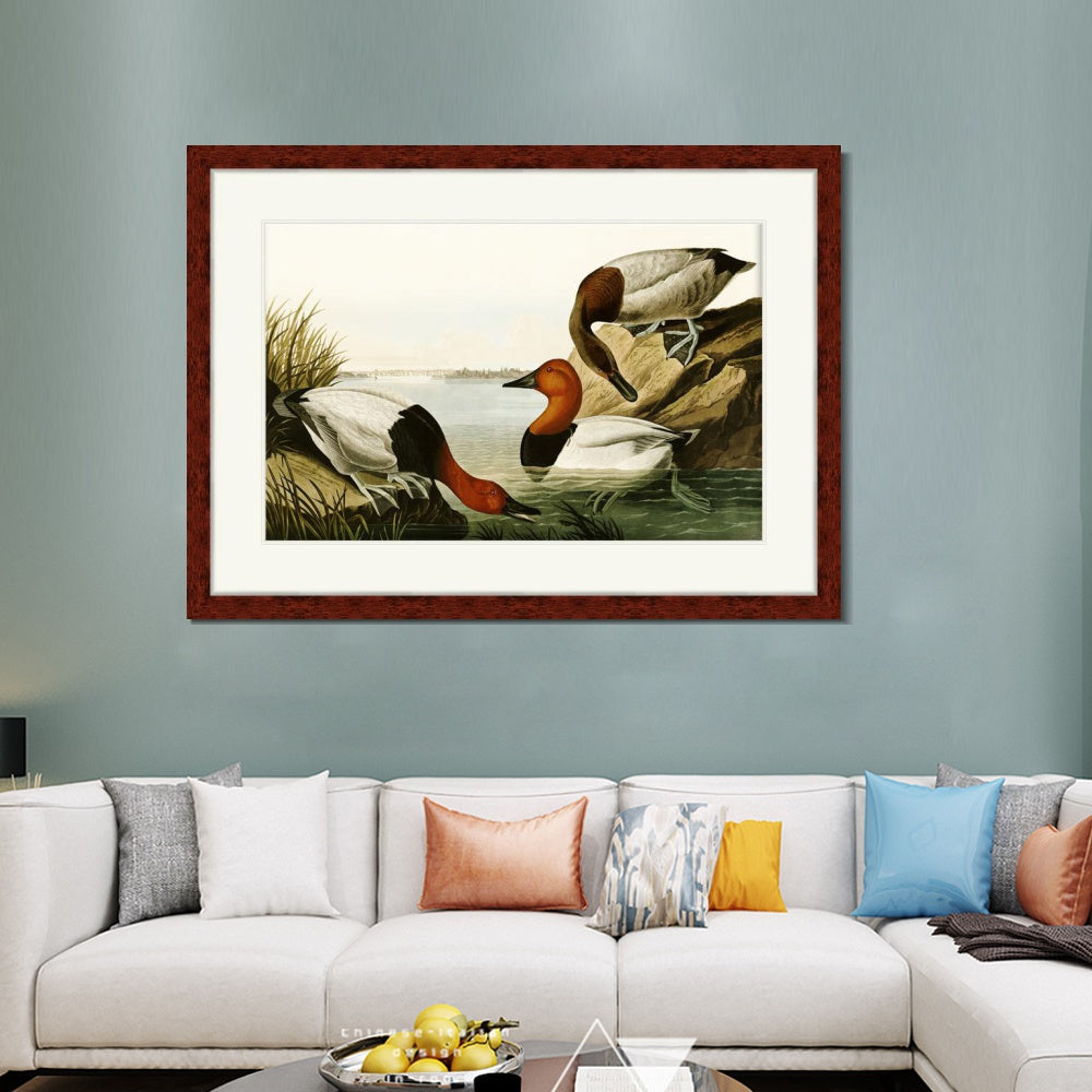 INVIN ART Framed Canvas Art Giclee Print Backed Duck by John James Audubon  Home Office Wall Art Decorations