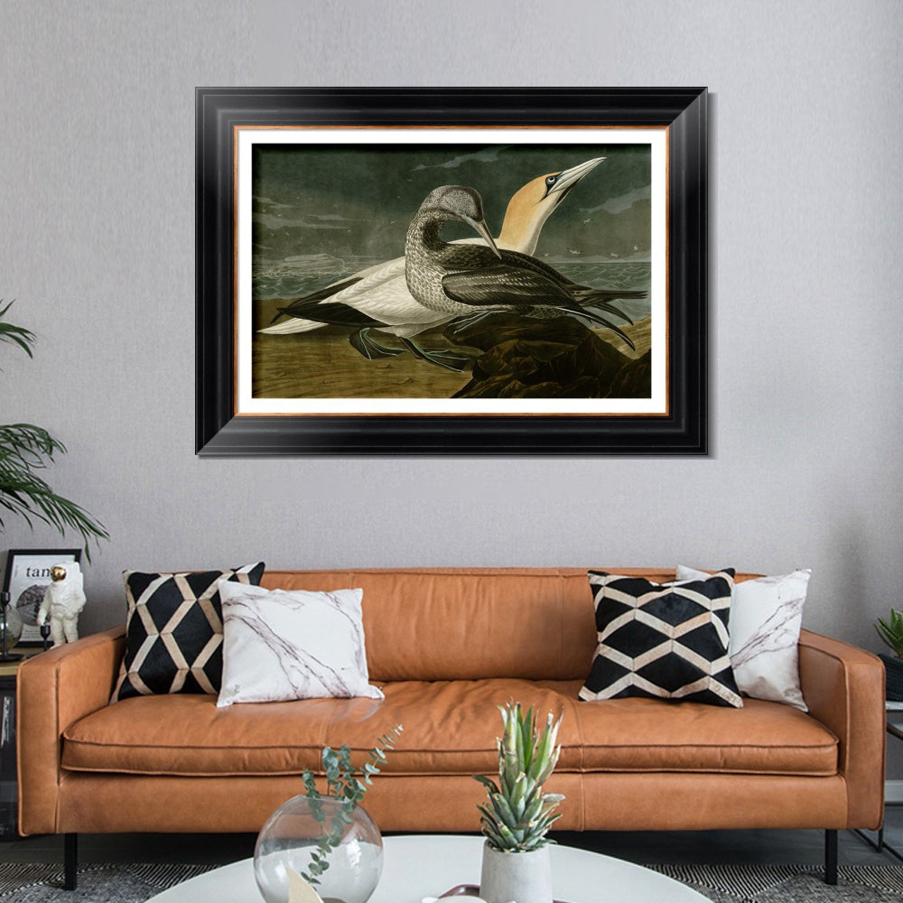 INVIN ART Framed Canvas Art Giclee Print Gannet by John James Audubon  Home Office Wall Art Decorations