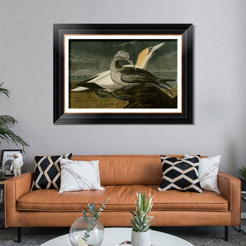 INVIN ART Framed Canvas Art Giclee Print Gannet by John James Audubon Living Room Home Office Wall Art Decorations
