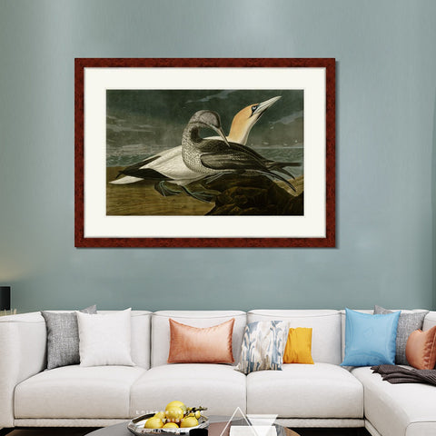 INVIN ART Framed Canvas Art Giclee Print Gannet by John James Audubon Living Room Home Office Wall Art Decorations