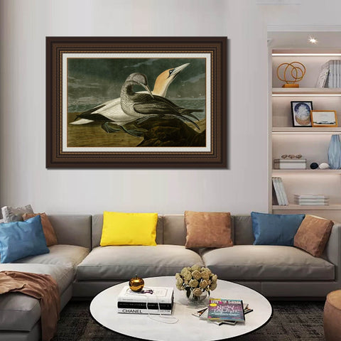 INVIN ART Framed Canvas Art Giclee Print Gannet by John James Audubon Living Room Home Office Wall Art Decorations