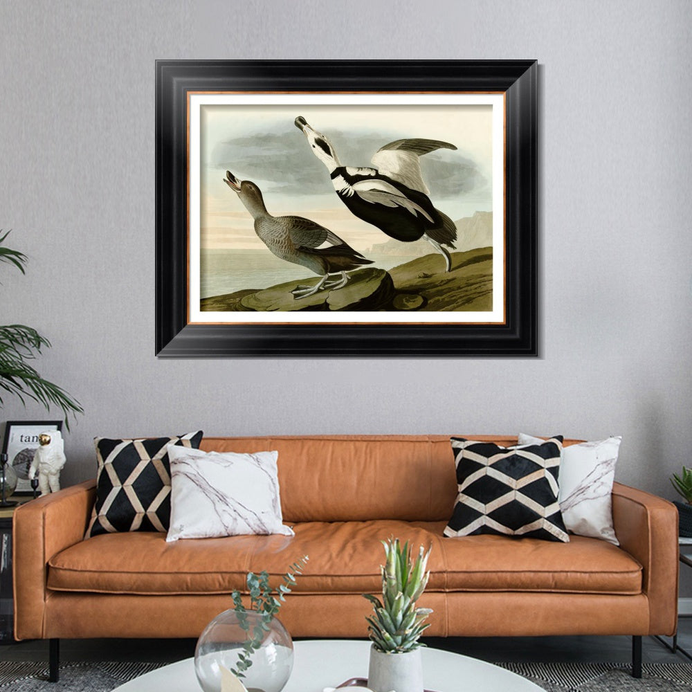 INVIN ART Framed Canvas Art Giclee Print Pied Duck Jay by John James Audubon  Home Office Wall Art Decorations