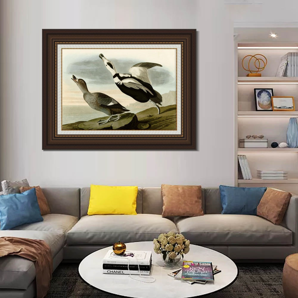 INVIN ART Framed Canvas Art Giclee Print Pied Duck Jay by John James Audubon  Home Office Wall Art Decorations