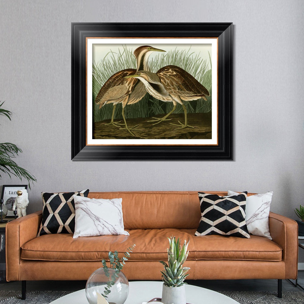 INVIN ART Framed Canvas Art Giclee Print American Bittern by John James Audubon  Home Office Wall Art Decorations