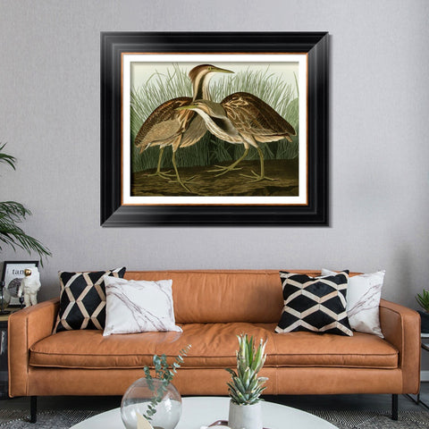 INVIN ART Framed Canvas Art Giclee Print American Bittern by John James Audubon Living Room Home Office Wall Art Decorations