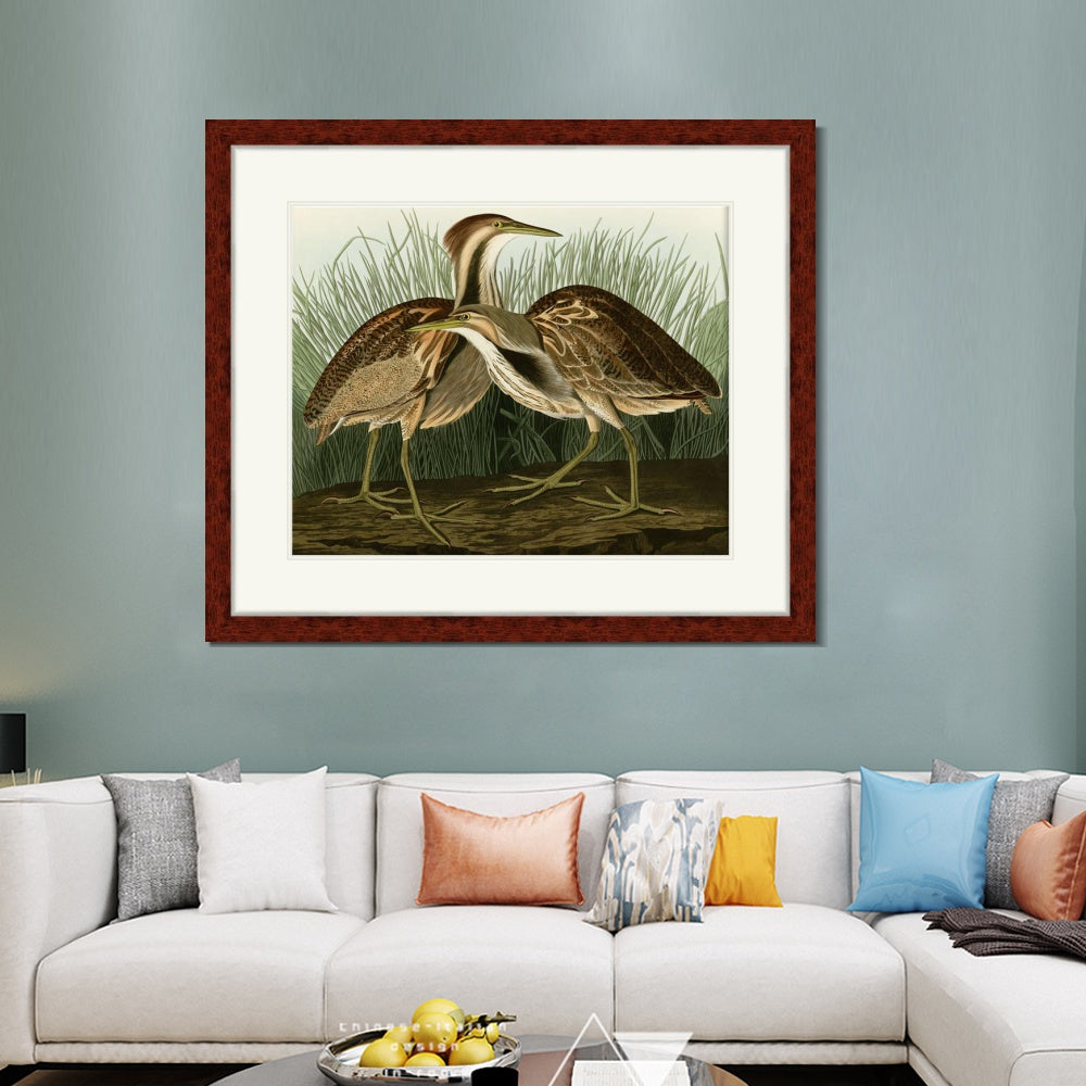 INVIN ART Framed Canvas Art Giclee Print American Bittern by John James Audubon  Home Office Wall Art Decorations