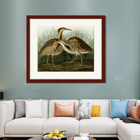 INVIN ART Framed Canvas Art Giclee Print American Bittern by John James Audubon Living Room Home Office Wall Art Decorations