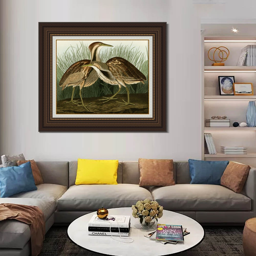 INVIN ART Framed Canvas Art Giclee Print American Bittern by John James Audubon  Home Office Wall Art Decorations