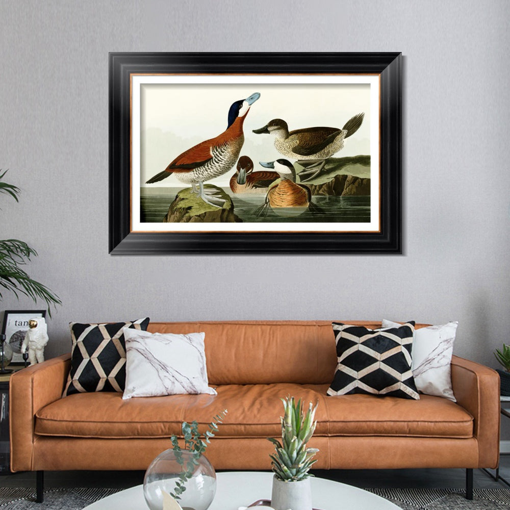 INVIN ART Framed Canvas Art Giclee Print Ruddy Duck by John James Audubon  Home Office Wall Art Decorations