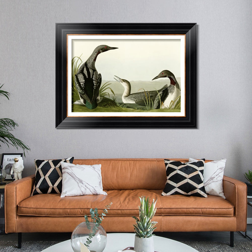 INVIN ART Framed Canvas Art Giclee Print Black Throated Diver by John James Audubon  Home Office Wall Art Decorations
