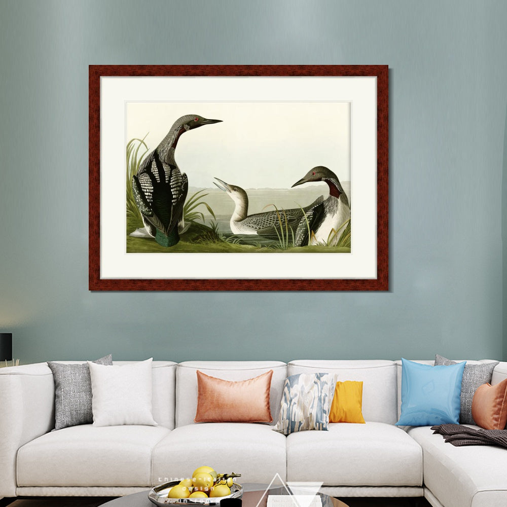 INVIN ART Framed Canvas Art Giclee Print Black Throated Diver by John James Audubon  Home Office Wall Art Decorations