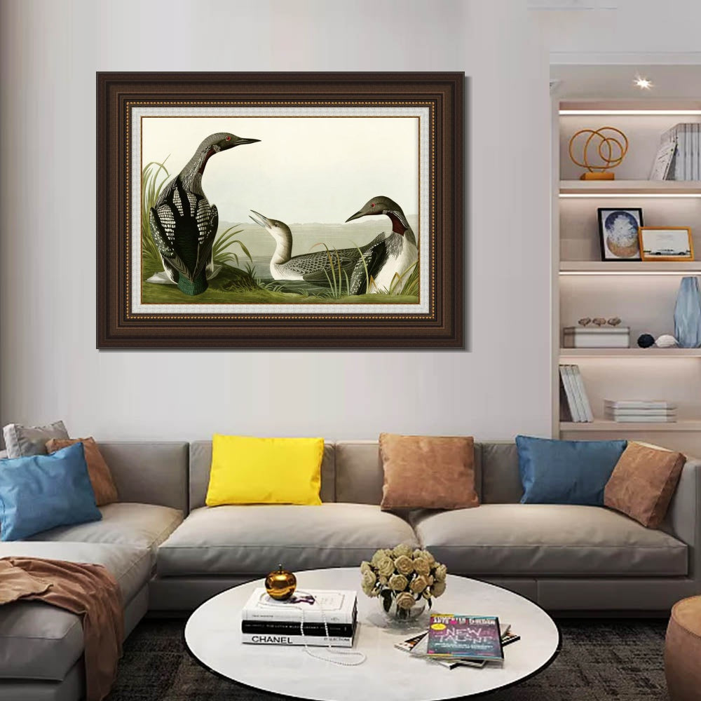 INVIN ART Framed Canvas Art Giclee Print Black Throated Diver by John James Audubon  Home Office Wall Art Decorations