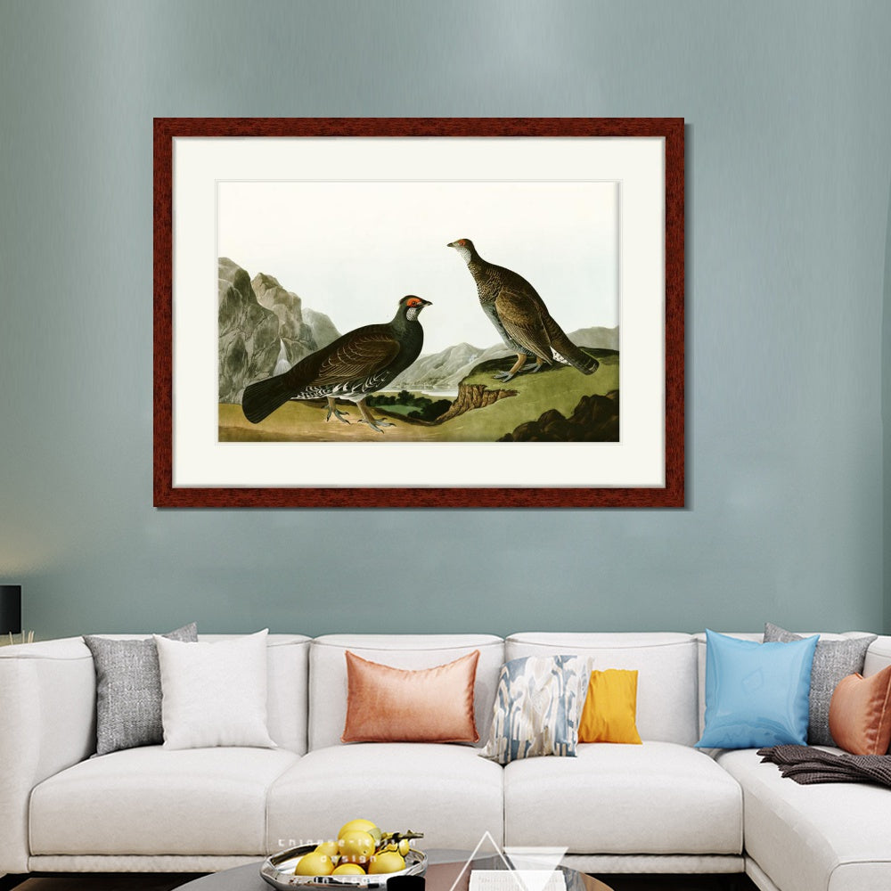 INVIN ART Framed Canvas Art Giclee Print Long Tailed or Dusky Grous by John James Audubon  Home Office Wall Art Decorations