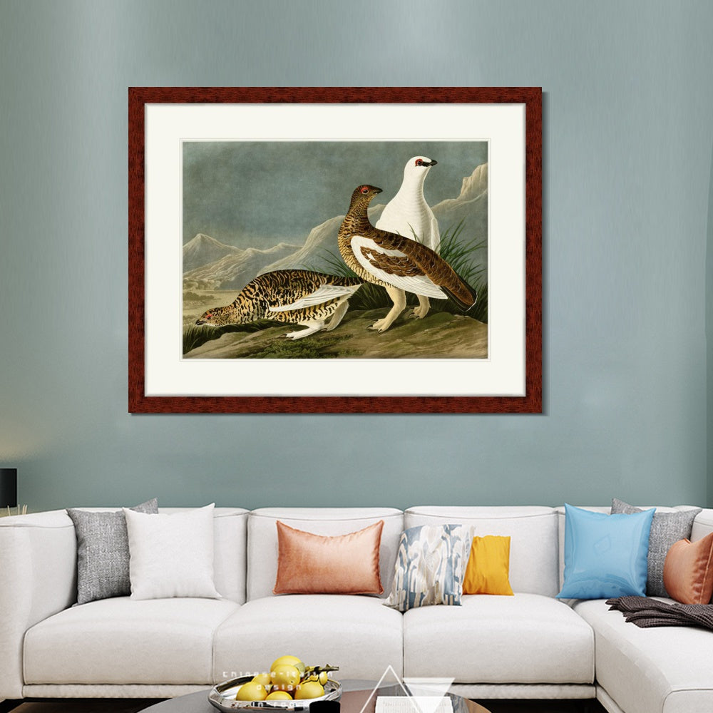 INVIN ART Framed Canvas Art Giclee Print Rock Grous by John James Audubon  Home Office Wall Art Decorations