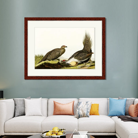 INVIN ART Framed Canvas Art Giclee Print Snow Goose by John James Audubon Living Room Home Office Wall Art Decorations