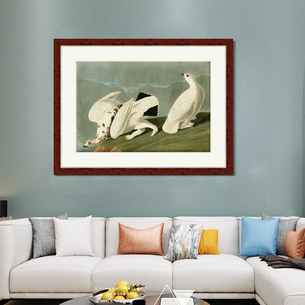 INVIN ART Framed Canvas Art Giclee Print White Tailed Grous by John James Audubon  Home Office Wall Art Decorations