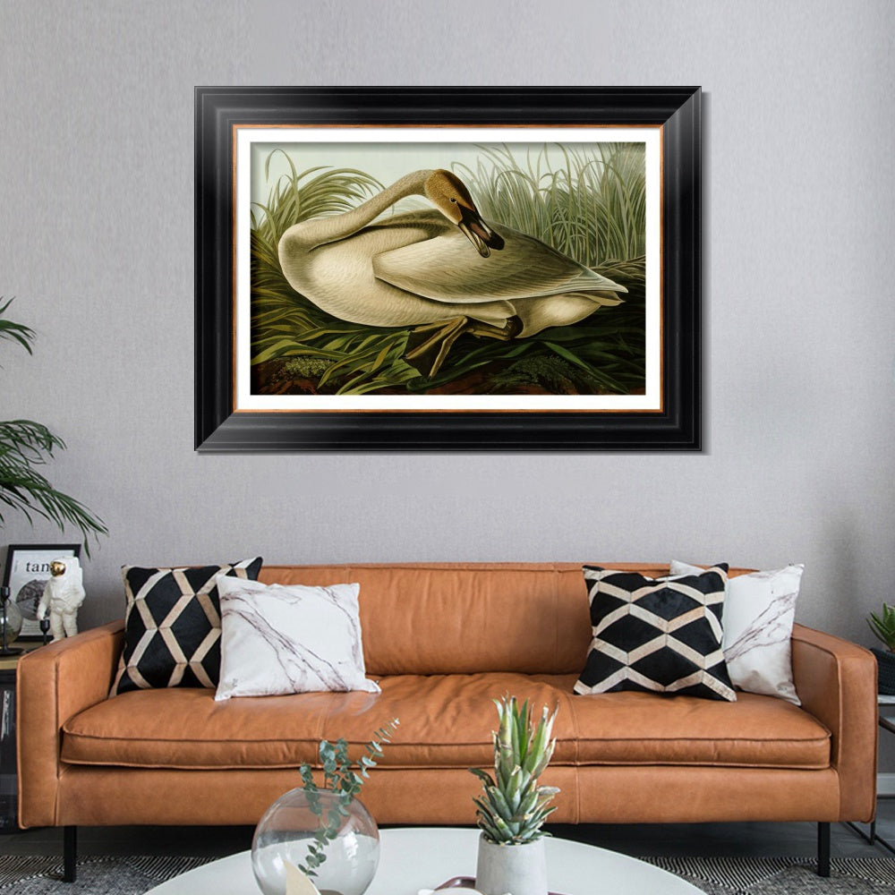 INVIN ART Framed Canvas Art Giclee Print Trumpeter Swan by John James Audubon  Home Office Wall Art Decorations