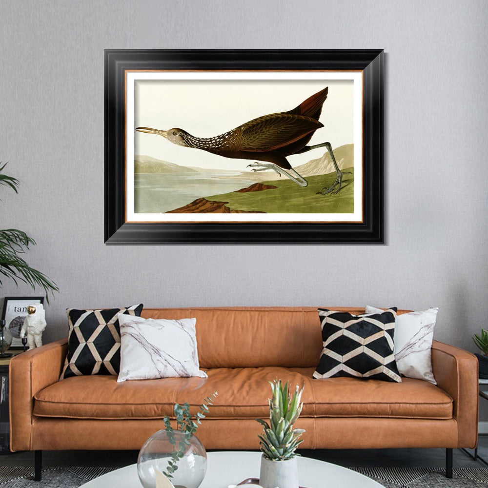 INVIN ART Framed Canvas Art Giclee Print Water Marsh Hen by John James Audubon  Home Office Wall Art Decorations