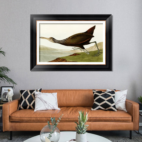 INVIN ART Framed Canvas Art Giclee Print Water Marsh Hen by John James Audubon Living Room Home Office Wall Art Decorations