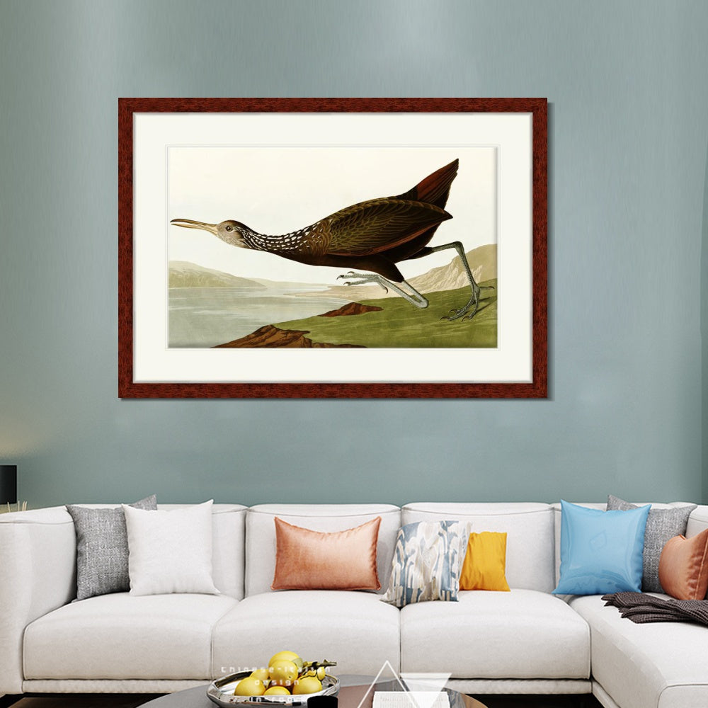 INVIN ART Framed Canvas Art Giclee Print Water Marsh Hen by John James Audubon  Home Office Wall Art Decorations
