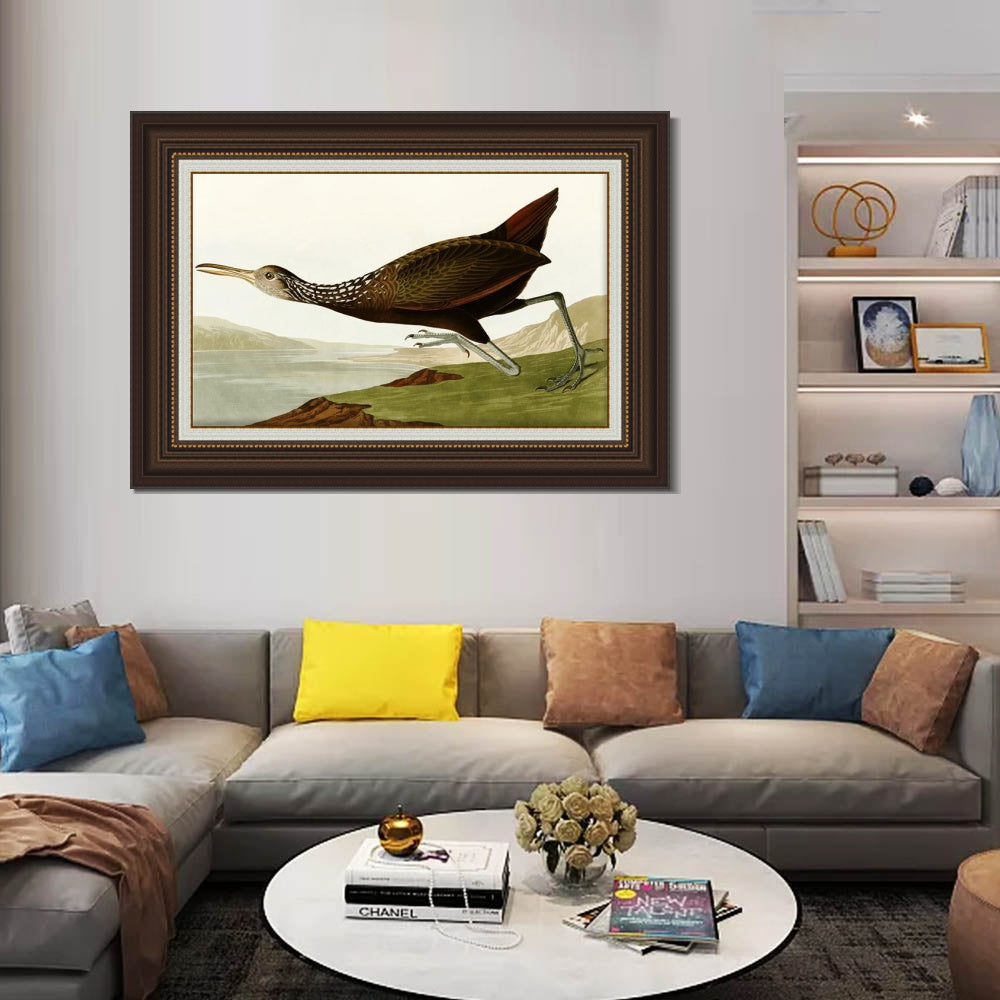 INVIN ART Framed Canvas Art Giclee Print Water Marsh Hen by John James Audubon  Home Office Wall Art Decorations