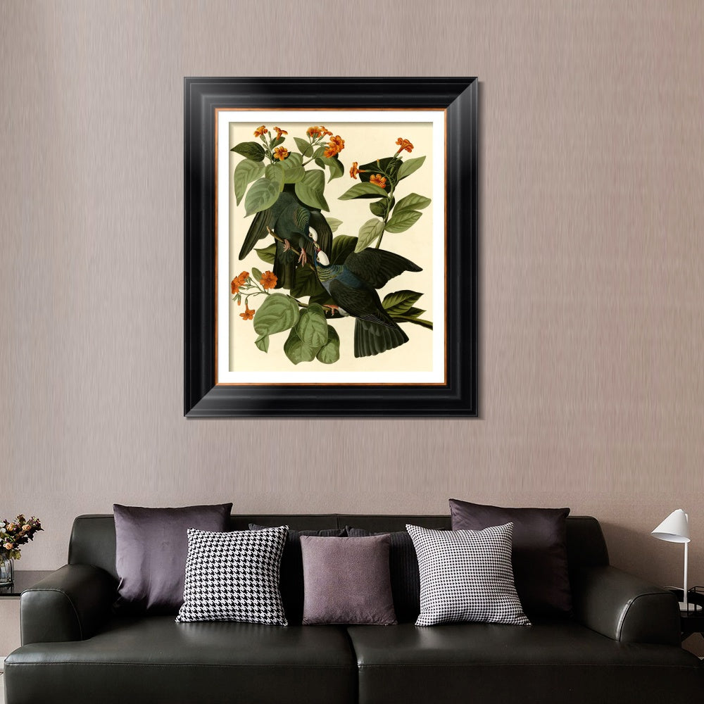 INVIN ART Framed Canvas Art Giclee Print Series#081 by John James Audubon  Home Office Wall Art Decorations